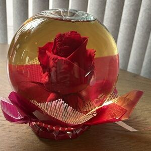 Fresh rose in water filed vase